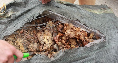 Bắt giữ 3 tạ mỡ động vật bốc mùi trên xe khách Nam Định