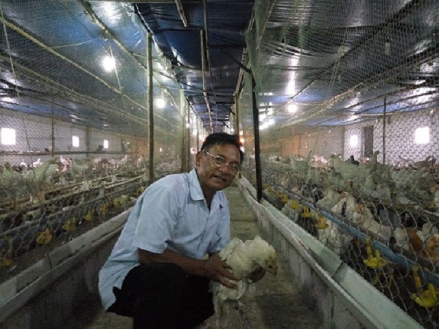 “Vua” gà đất Nam Định sở hữu 20.000 con gà, lãi 50 triệu đồng/tháng