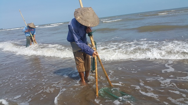 Những người cào cát bắt ngao: Trần gian có một thứ nghề ở Nam Định