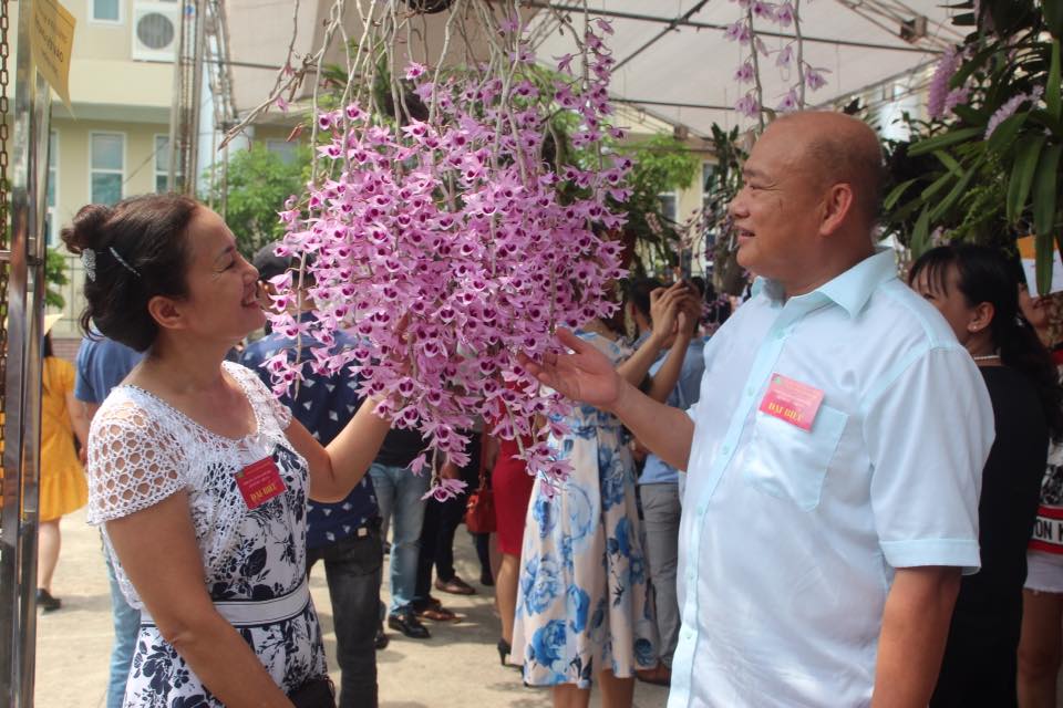 Nam Định: Trưng bày và hội thi hoa lan mở rộng lần thứ nhất năm 2018