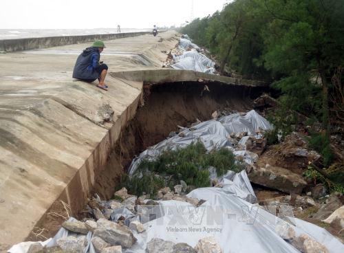 Nam Định: Đảm bảo an toàn hệ thống đê điều trước mùa mưa bão