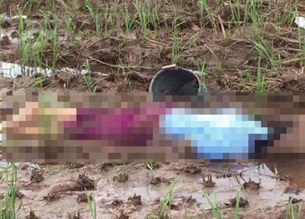 Nam Định: Đi bắt ốc bươu, người phụ nữ tử vong trong tư thế nằm úp giữa cánh đồng