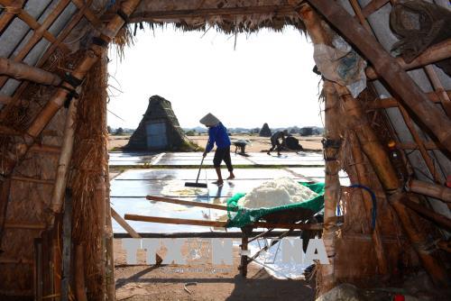 Gỡ khó cho người làm muối ở Nam Định