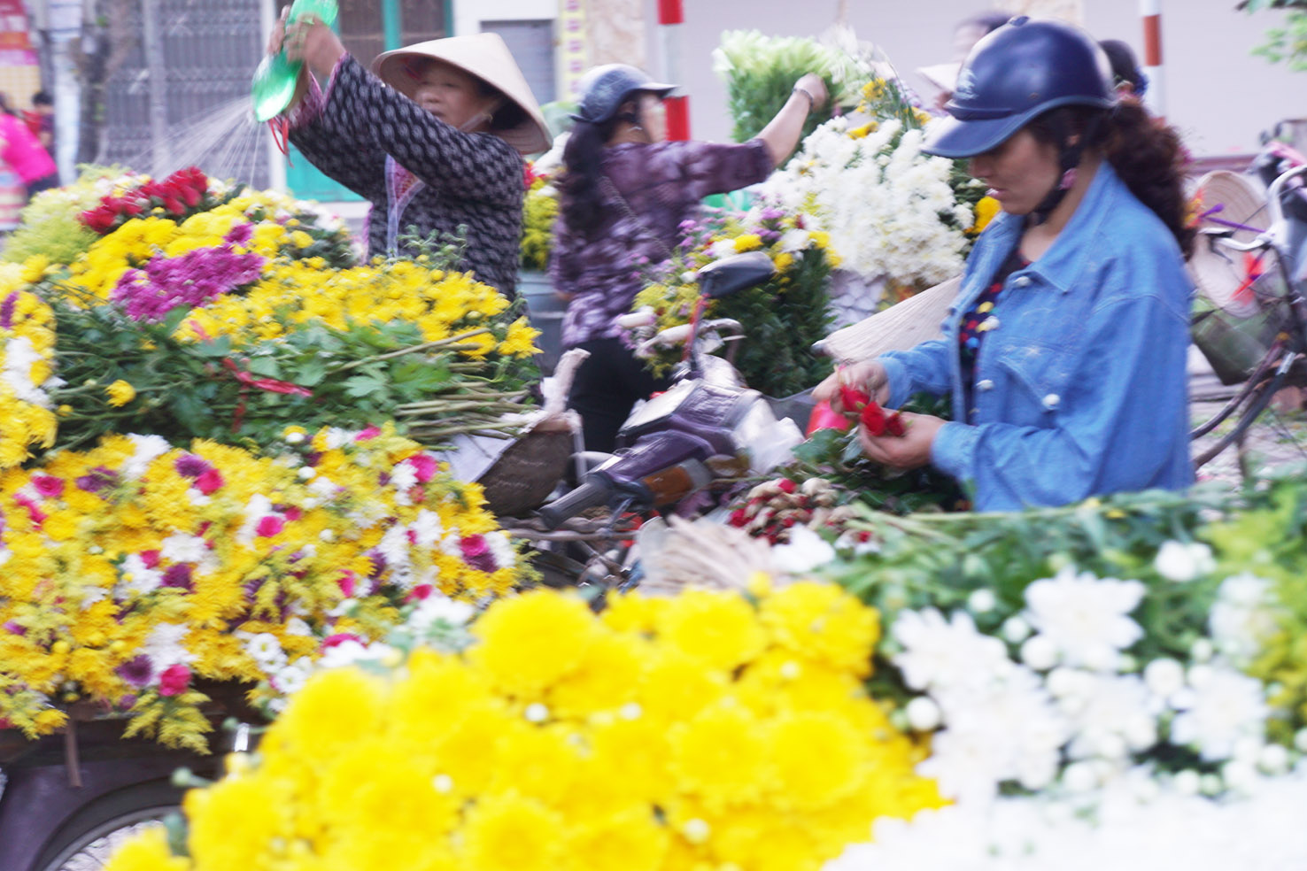 Chợ hoa đêm ở Thành Nam