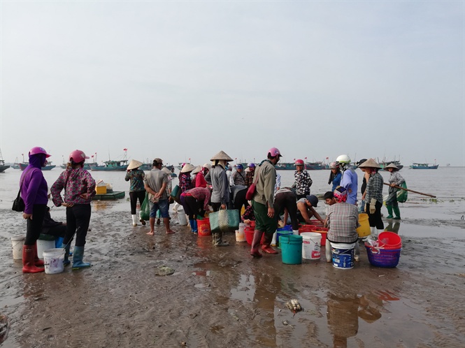 Nam Định: Vụ cá Nam thắng lợi