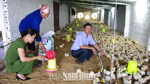 Nam Định phát huy vai trò nông dân trong xây dựng nông thôn mới