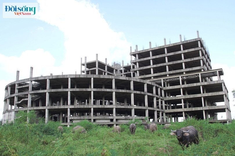 Dự án bệnh viện gần nghìn tỷ ở Nam Định bỏ hoang 7 năm, thành nơi nuôi trâu