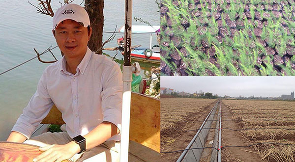 Nam Định: Kỹ sư xây dựng bỏ việc lương 2.000 đô để làm nông dân