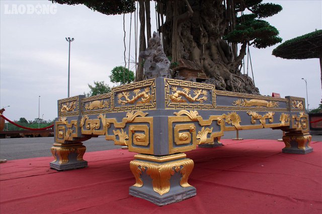Xôn xao cây cảnh giá 10 tỷ, dát 5 lượng vàng quanh chậu của đại quê Nam Định