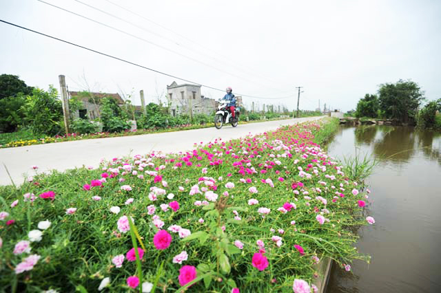 Nam Định: Xây dựng nông thôn mới có điểm khởi đầu, không có kết thúc