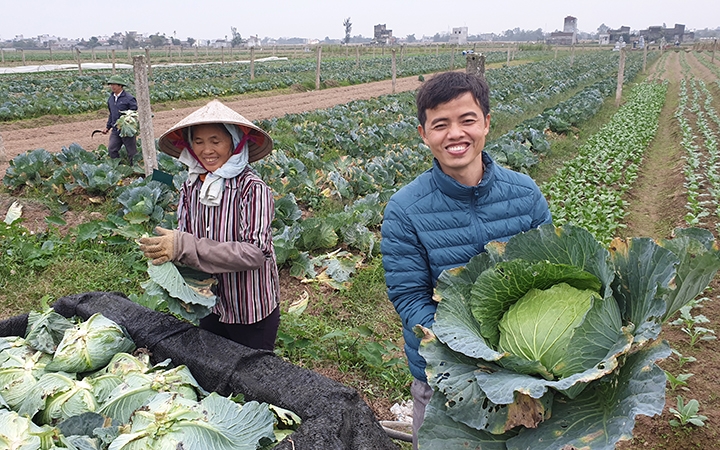 Nam Định tạo đột phá trong sản xuất nông nghiệp