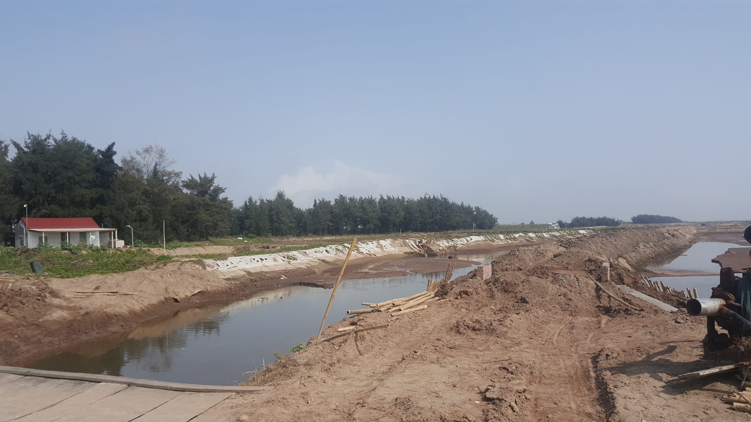 Nam Định: Teo tóp rừng phòng hộ ven biển huyện Nghĩa Hưng