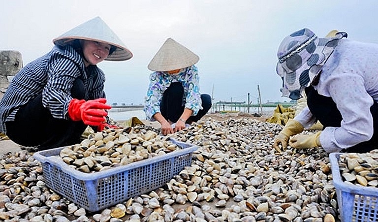 Nghĩa Hưng: Tạo sức bật từ kinh tế biển