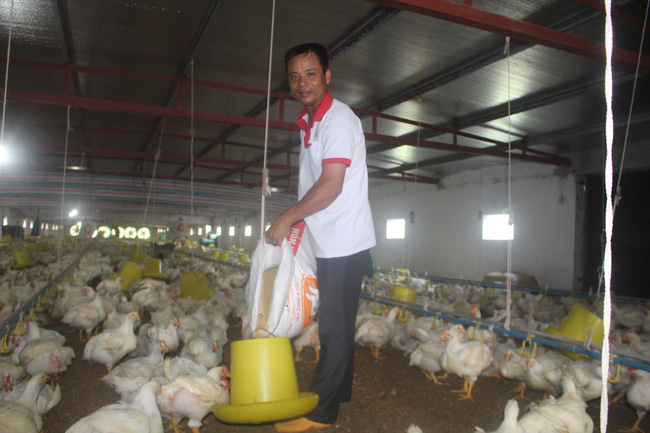 Nam Định: Nhiều nông dân giỏi, nông dân tỷ phú được Thủ tướng Chính phủ tặng Bằng khen