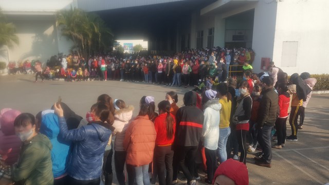 Hàng nghìn công nhân Công ty Smart Shirts tại Nam Định trở lại làm việc