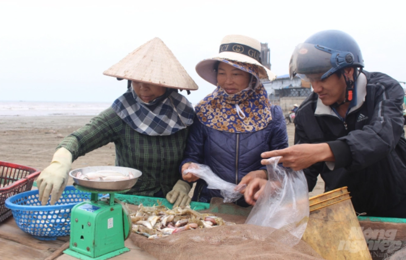 Ngư dân Nam Định khởi đầu năm mới khó khăn