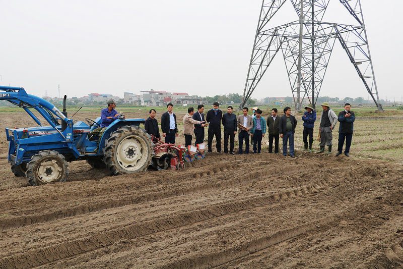 Nam Định: Mô hình tích tụ ruộng đất, trồng lạc bằng máy tại huyện Vụ Bản