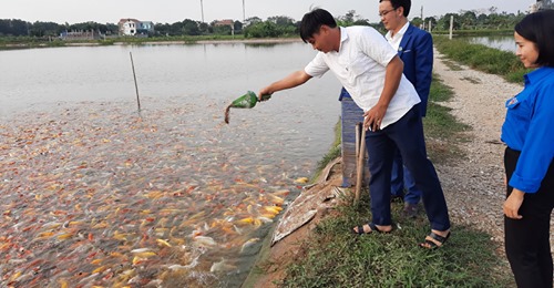 Nam Định: Đoàn viên Bùi Văn Biên xã Yên Trung khởi nghiệp, làm giàu từ mô hình nuôi cá Koi