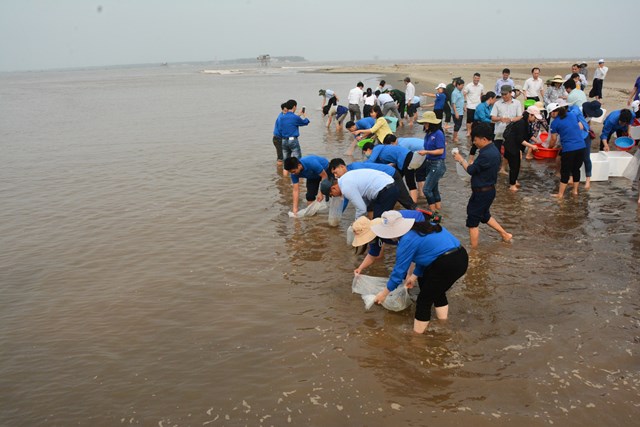 Nam Định: Thả hơn 1 triệu con giống thủy sản xuống VQG Xuân Thủy