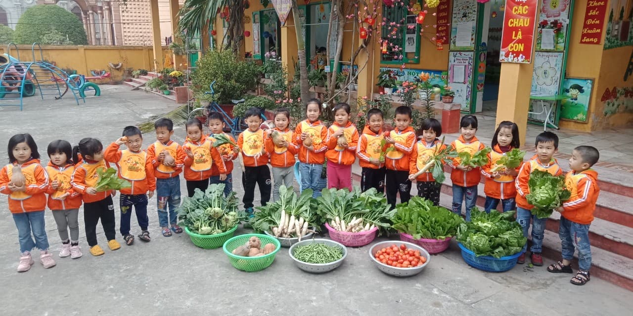 Nam Định: Trường Mầm non Hải Lý – Con lớn lên từ nhữɴɢ vườn rau sạch