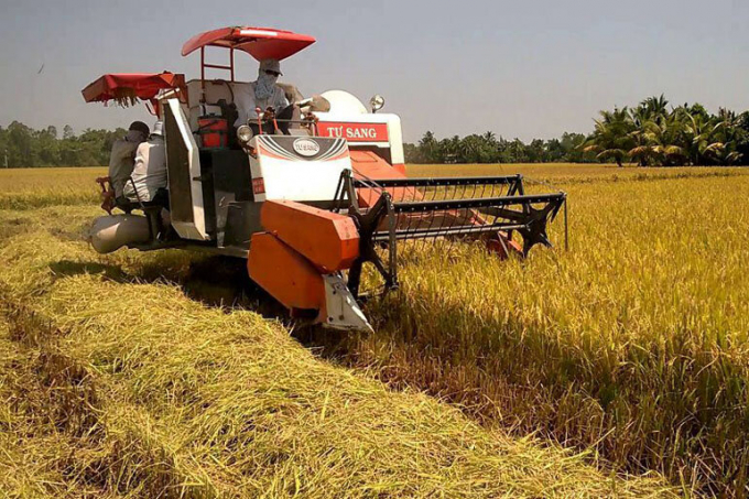 Nam Định: Mâu thuẫn trong lúc gặt lúa, một người tử vong