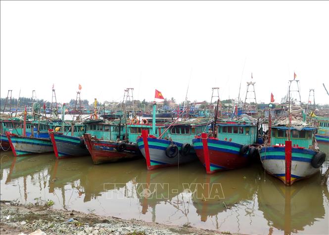 Nam Định cấm biển, kêu gọi tàu thuyền vào nơi an toàn