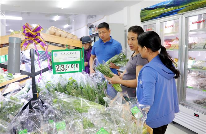 ‘Giấy thông hành’ cho sản phẩm nông nghiệp sạch Nam Định