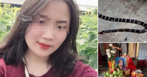 Cô gái bị rắn cạp nia cắn khi đang ngủ đã tử vong