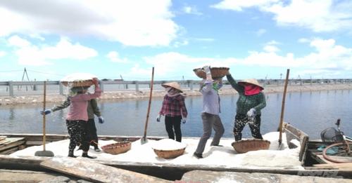 Nam Định: Diêm dân ở xã Bạch Long (Giao Thủy) đã quá chán nản với nghề muối