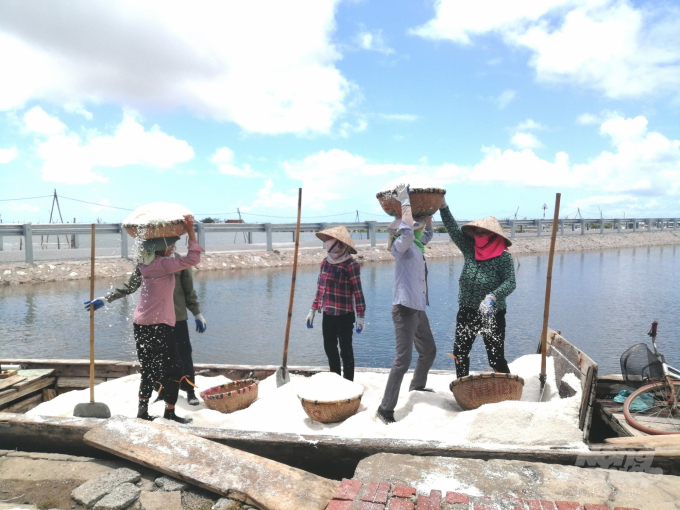 Nam Định : Diêm dân đã quá chán nản với nghề muối