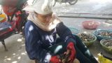 Người dân Nam Định kiếm 500.000/ngày nhờ đi ‘săn’ sam đất