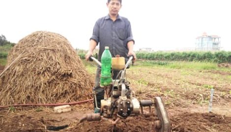 Ngày xuân trò chuyện cùng “Kỹ sư nông dân tại Nam Định”