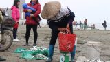 Hải Hậu: ‘Xông’ biển đầu năm, thu đậm ‘lộc’ trời