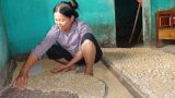 Làng nghề nấu rượu Kiên Lao Nam Định