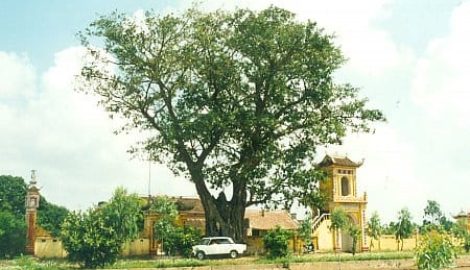 Đền chùa Hà Cát xã Hồng Thuận – Giao Thủy Nam Định