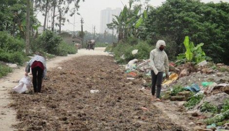 Cải thiện môi trường các làng nghề tại Nam Định