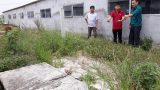 Huyện nông thôn mới ở Nam Định hưởng lợi từ dự án LCASP Huyện nông thôn mới ở Nam Định hưởng lợi từ dự án LCASP