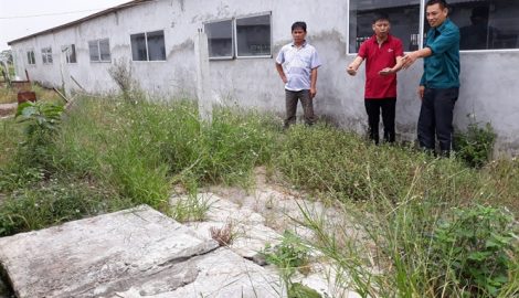 Huyện nông thôn mới ở Nam Định hưởng lợi từ dự án LCASP