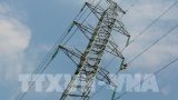 Tình trạng vi phạm hành lang an toàn lưới điện diễn biến phức tạp
