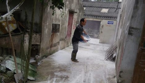 Nam Định tích cực phòng, chống dịch tả lợn châu Phi