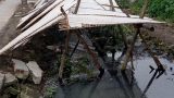 Phơi miến không bảo đảm vệ sinh