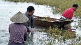 [Thơ] Nhắn gửi cho con