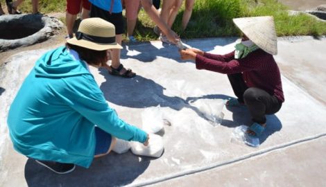 Nam Định: Một năm làm muối được 4 triệu đồng ….