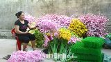 Ngân hàng Chính sách Xã hội huyện Nam Trực nỗ lực tạo nguồn tại chỗ để cho vay