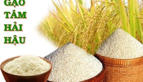 Gạo tám Hải Hậu Nam Định