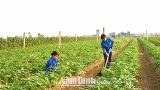 Ghi nhận ở Trung tâm học tập cộng đồng xã Yên Cường Ý Yên