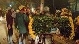 Nam Định: Nhộn nhịp chợ hoa đêm giữa lòng thành phố