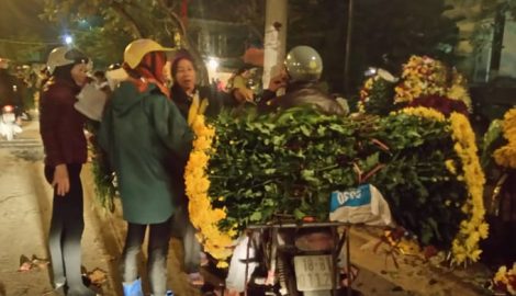 Nam Định: Nhộn nhịp chợ hoa đêm giữa lòng thành phố
