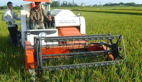 Nam Định: Người dân tăng thu nhập, đời sống được cải thiện nhờ nông thôn mới