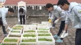 Học sinh THPT Lê Hồng Phong biến nóc tòa nhà thành vườn rau sạch